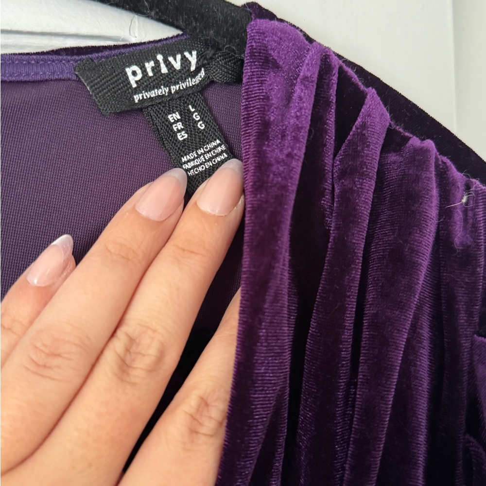 Privy Velvet Dress From Envy and Grace - Picture 3 of 8